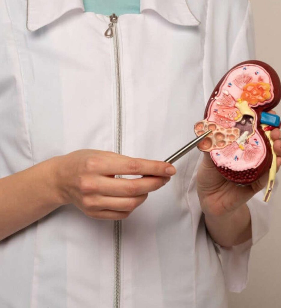 Nephrology img 1