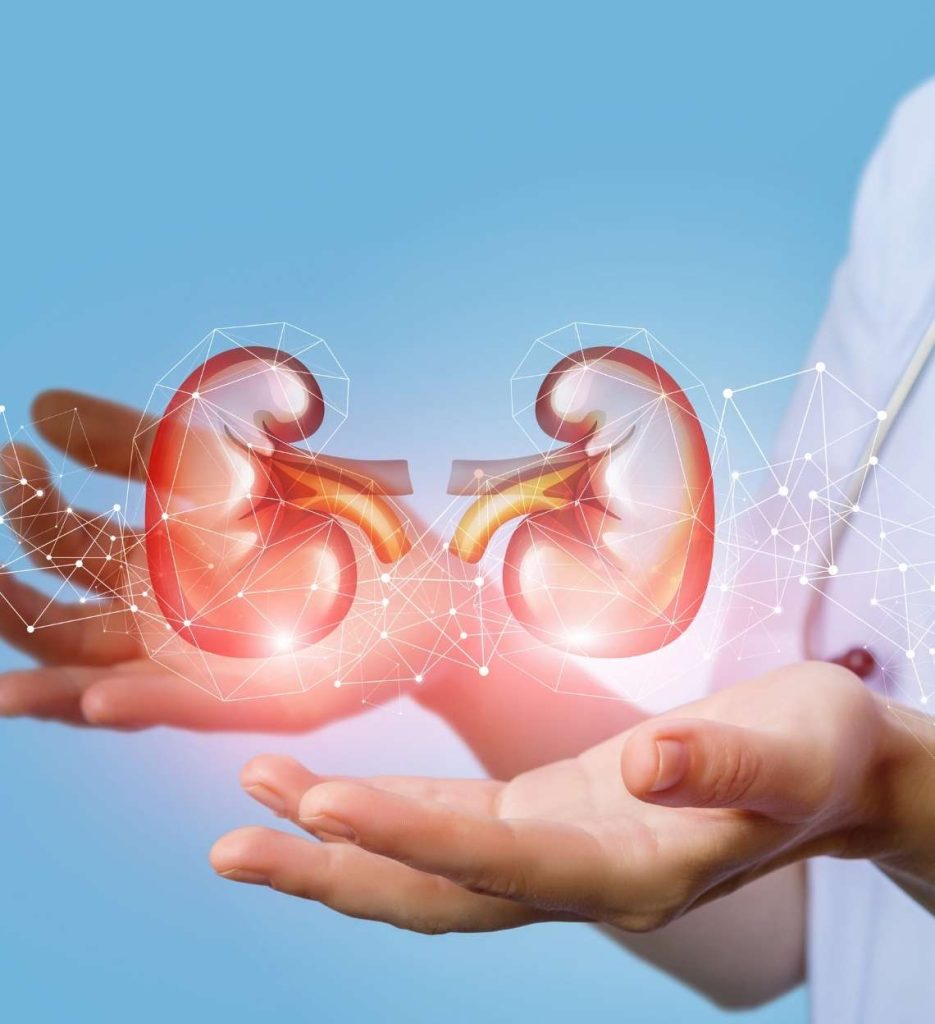 Nephrology img 3