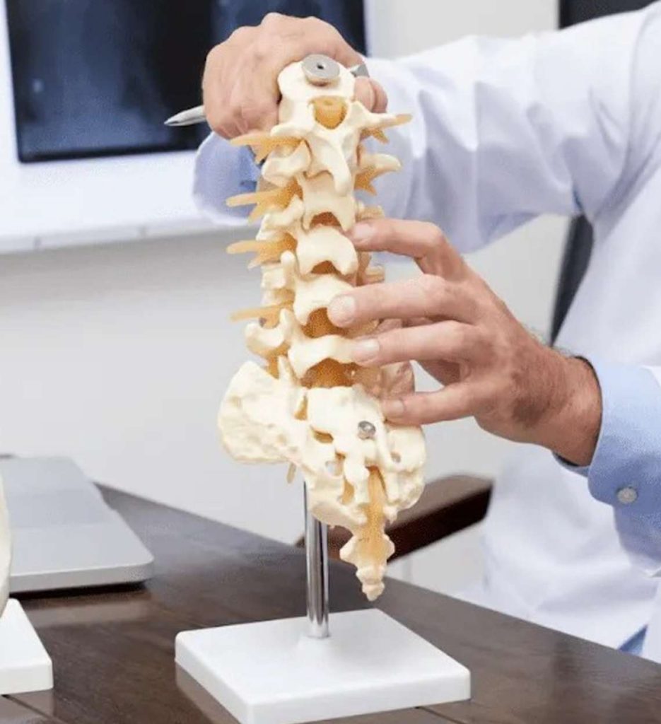 spine img 1