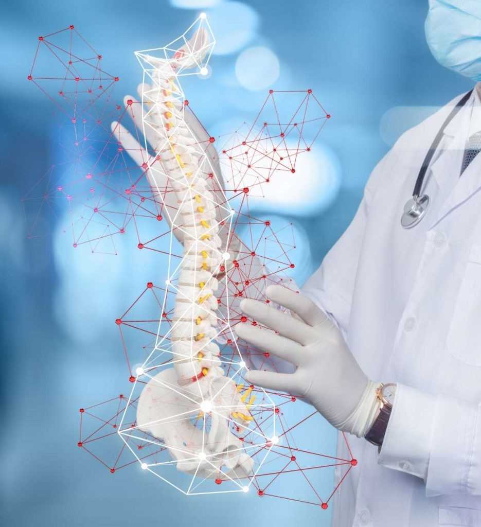 spine img 3