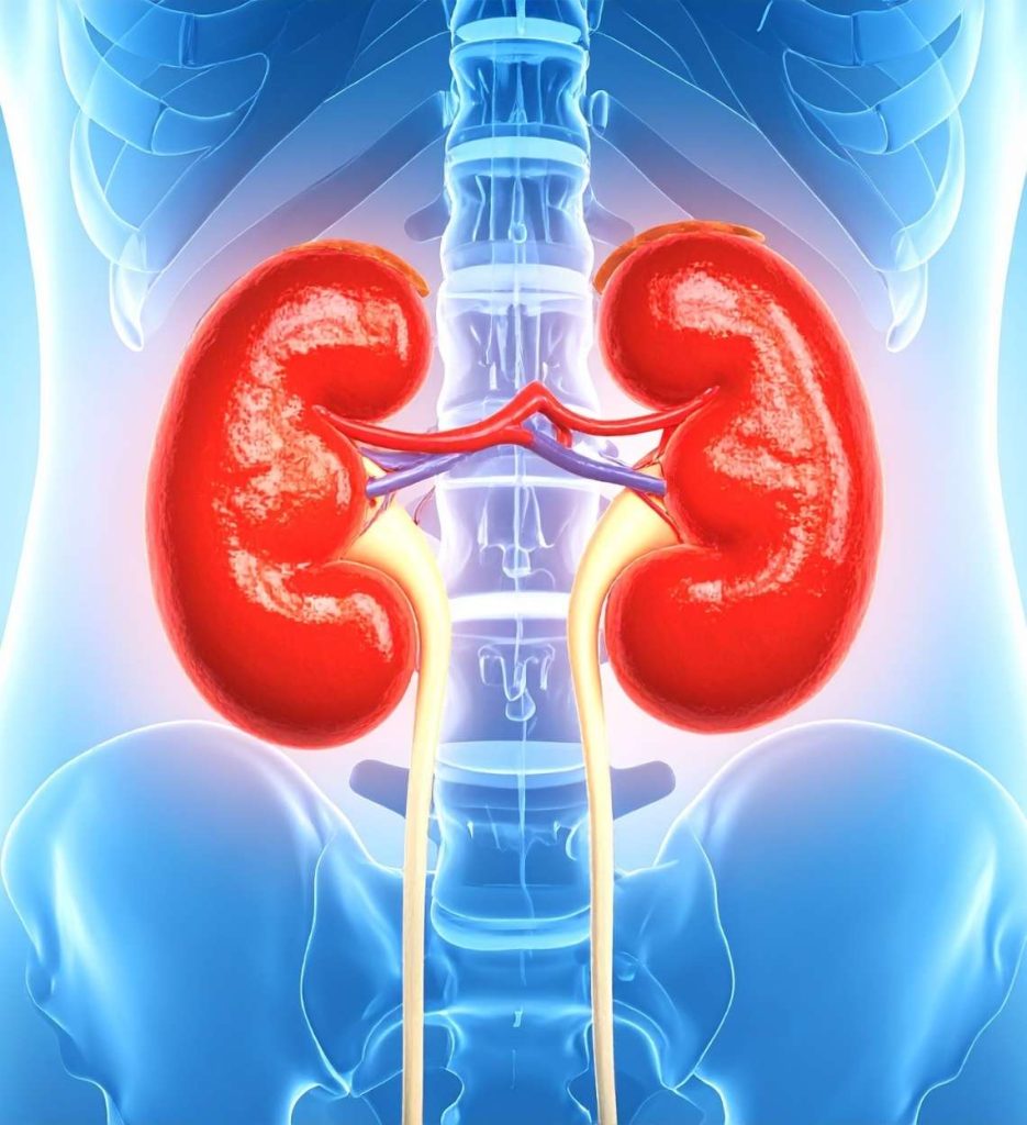 urology img 3